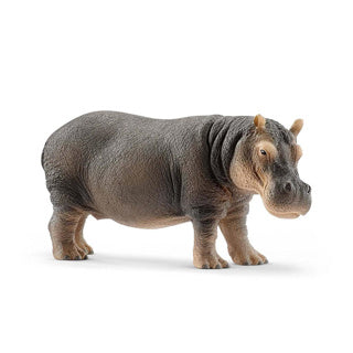 Schleich Wild Life Nile horse 14814