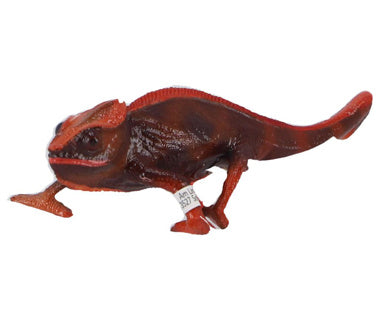 Schleich Wild Life Kameleon 14858