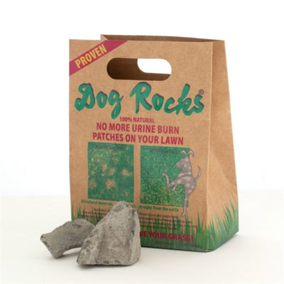 Rocce per cani