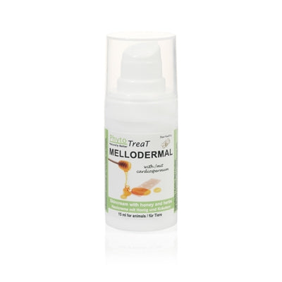 Phytotread melllodermal Honingcme Indoor