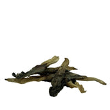 PETSNACK RACISTORS without coat