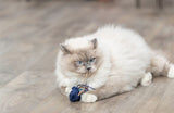 Trixie marine animal plush with catnip assorti