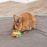 Fáinní trixie déanta as cromáin arbhair