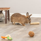 Trixie grass toys with jute