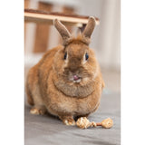 Trixie set haltères de l'herbe de Hout Barked