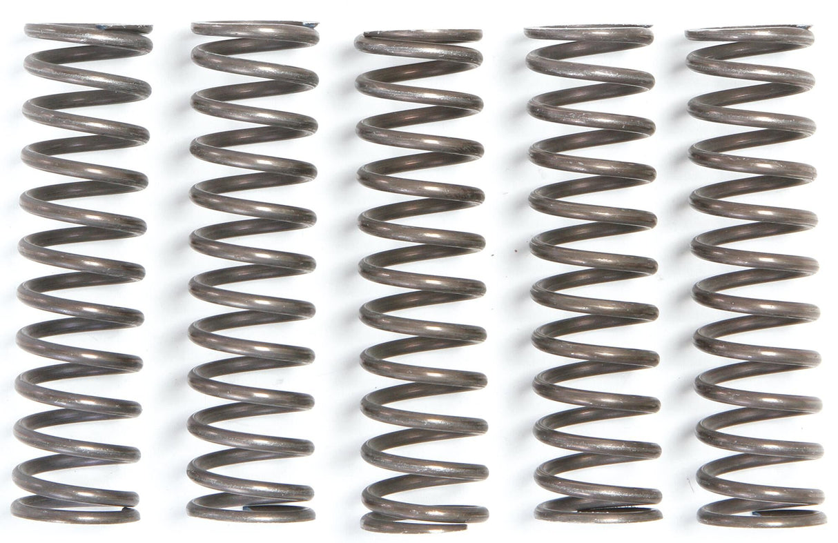 Trw koppelingsveren set clutch spring kit mef105-5