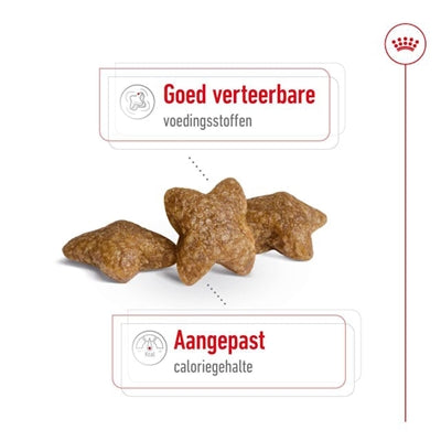 Mini adulte royal canin