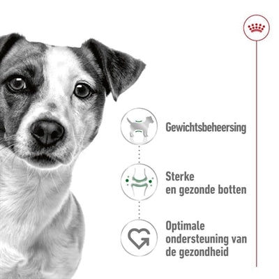 Mini adulte royal canin
