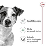 Mini adulte royal canin