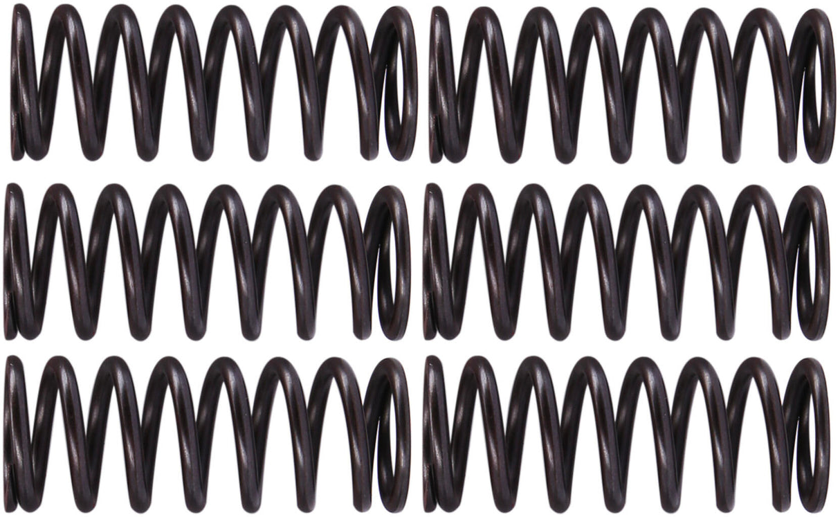 Trw koppelingsveren set clutch spring kit mef326-6