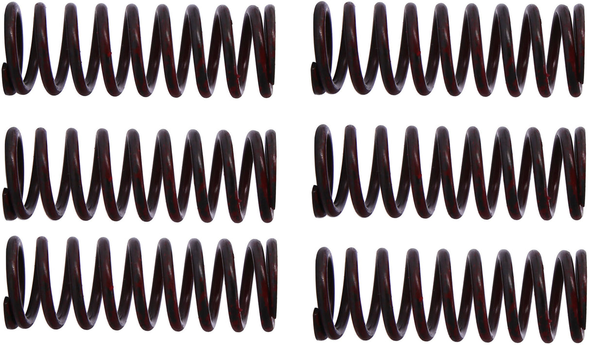 Trw koppelingsveren set clutch spring kit mef302-6