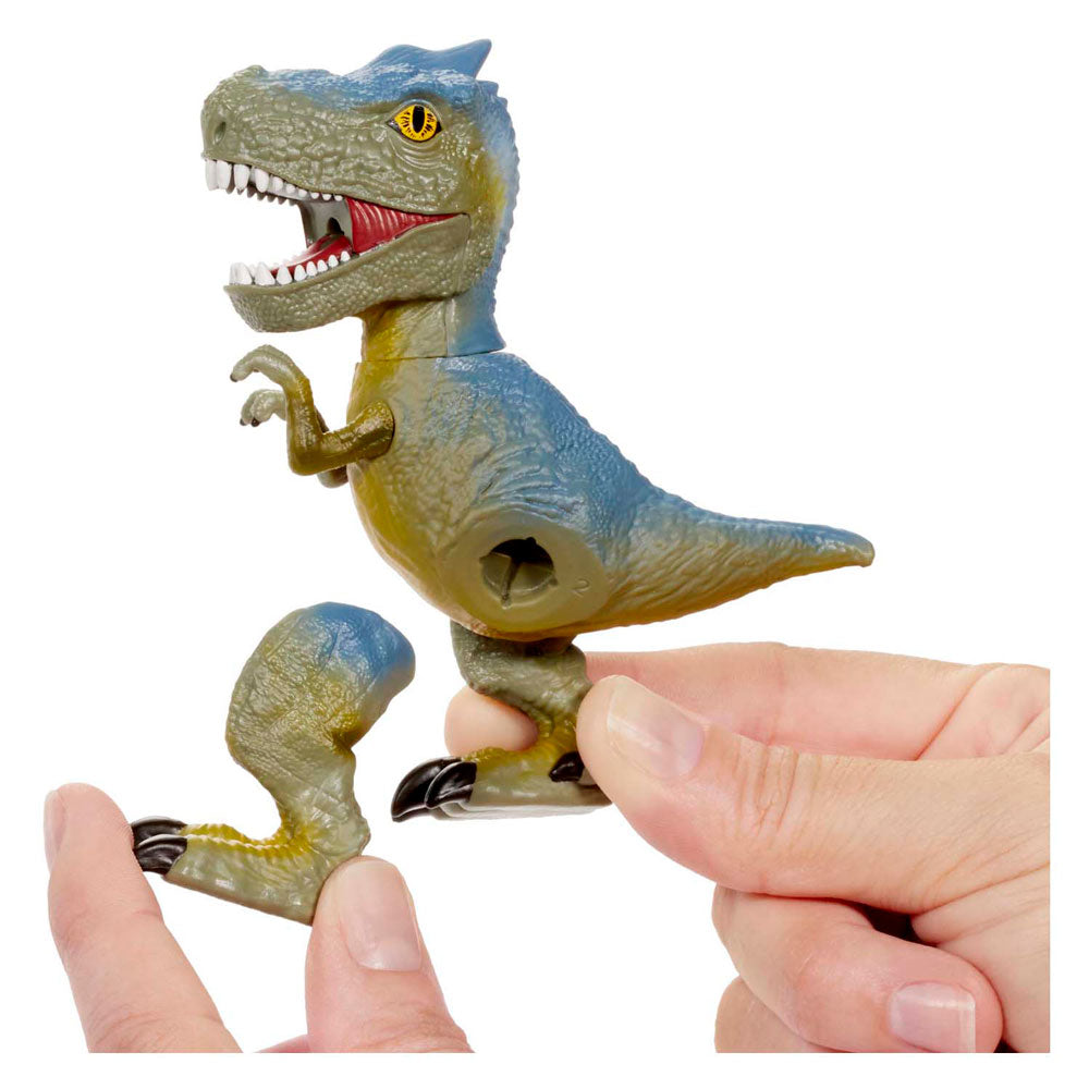 Grossasaurus aveugle Asst