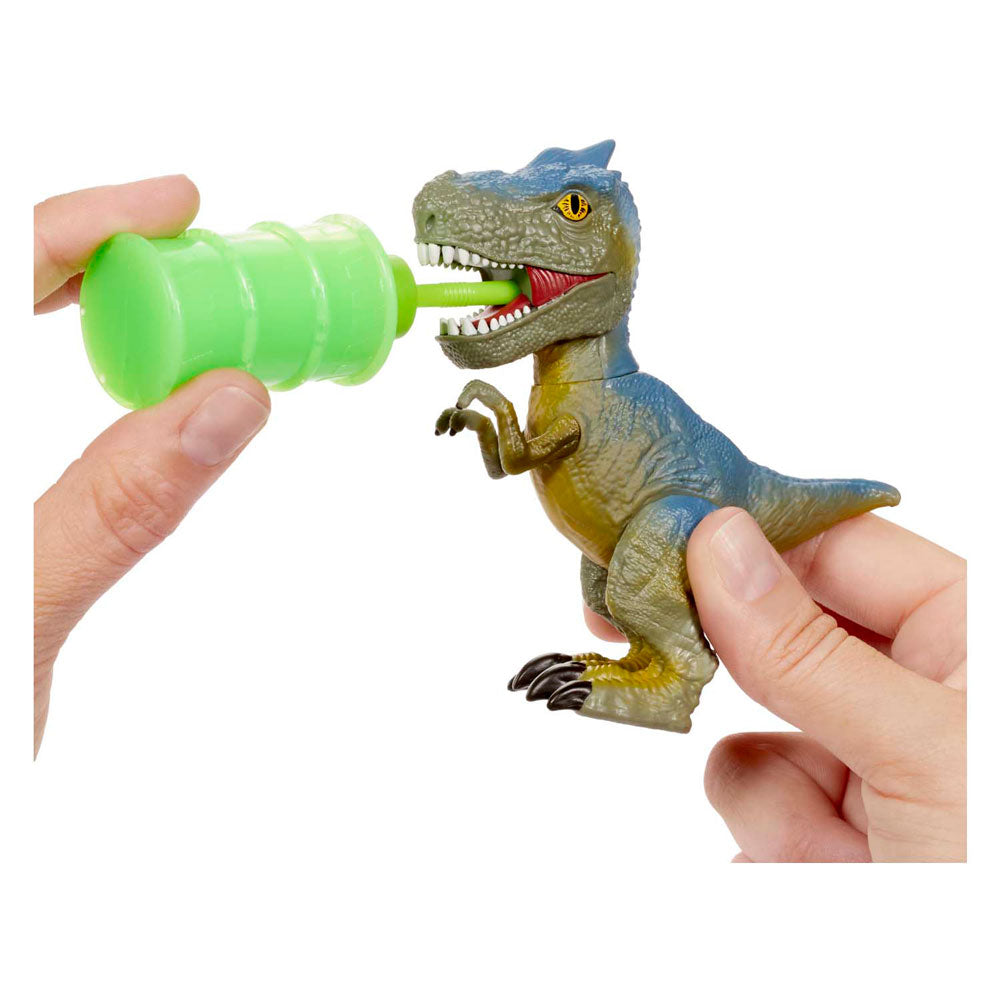 Grossasaurus aveugle Asst