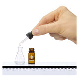 Mga entertainment mga's miniverse - make it mini fragrances - mini parfum maken