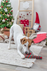 Trixie Xmas Flostuw Candy Cane