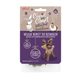 COMPID COMET Veggie Burst 3D Rendier