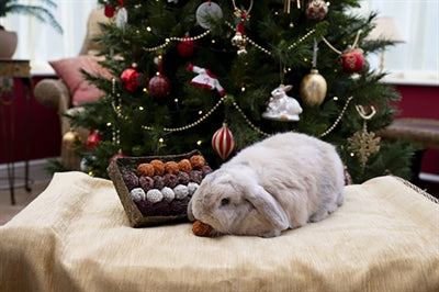 Cupid Comet Advent Gift 'N' Forage Truffle Scale