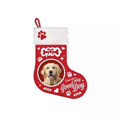 Molti regali calzini natalizi golden retriever