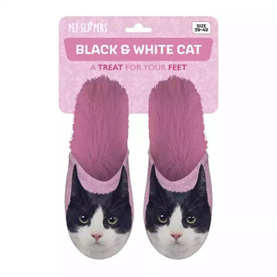 Slippel Black and White Cat rose