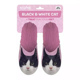 Slippel Black and White Cat rose