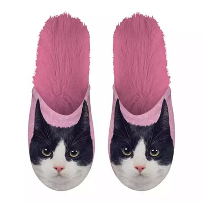 Slippel Black and White Cat rose