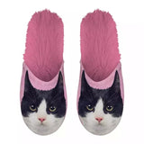 Slippel Black and White Cat rose