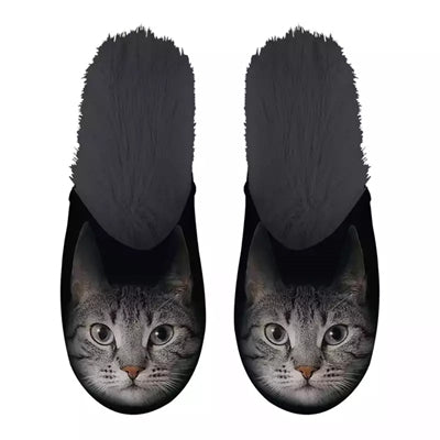 Slippel Gray Cat Black