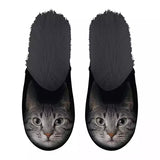Slippel Gray Cat Black
