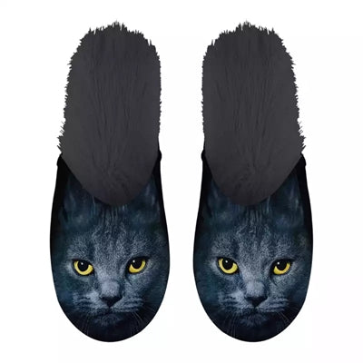 Slippel Black Cat Black