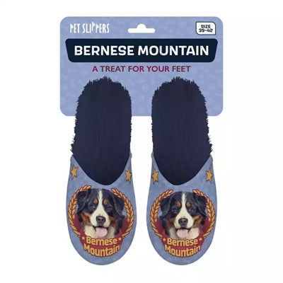 Slippel Bernese Mountain Dog temno modra