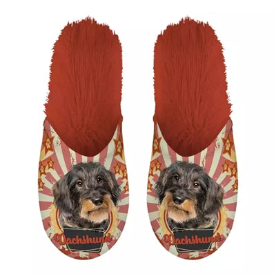 Orange dachshund slipper