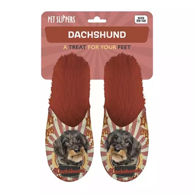 Orange dachshund slipper