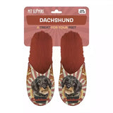 Orange dachshund slipper