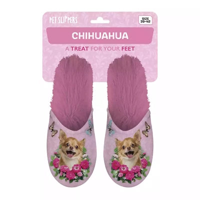 Chihuahua slipper pink
