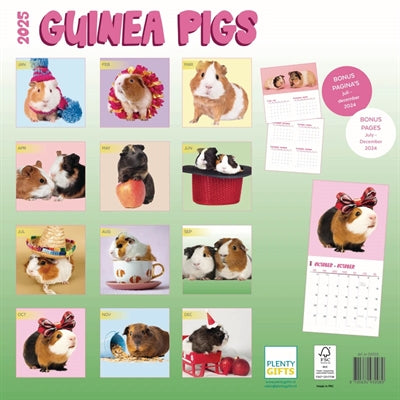 calendar guinea pigs studio 2025