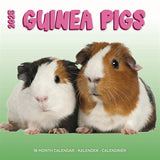 calendar guinea pigs studio 2025