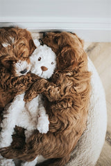 My Dog Beer Plush Creme