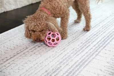 JW Hol-EE Roller Trend-ee rosa