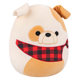 Jazwares squishmallows plush toy - Brock the Bulldog - 30cm