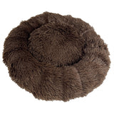 Sazzz Dogment Fluffy Bruin