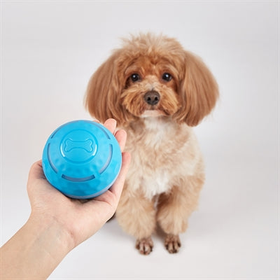 Fofos nabíjecí kuličkový míček pro psy