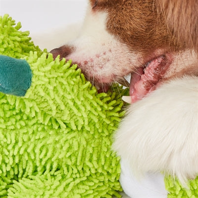 Fofos tvrdý pes aligátor