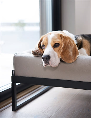 Bia air frame for bed black