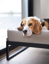 Bia air frame for bed black