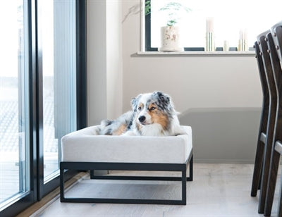 Bia air frame for bed black