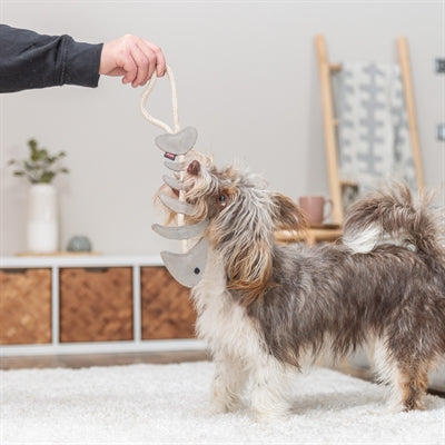 Trixie Couro espinha de peixe com corda