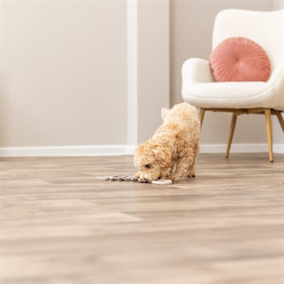 Trixie Couro espinha de peixe com corda