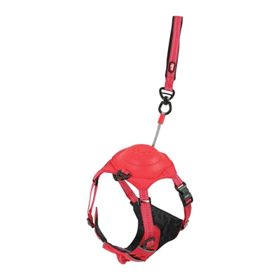 Zolux easyride dog harness red