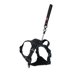 Arnês para cães Zolux easyride preto
