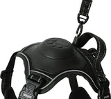 Szelki dla psa Zolux Easyride w kolorze czarnym